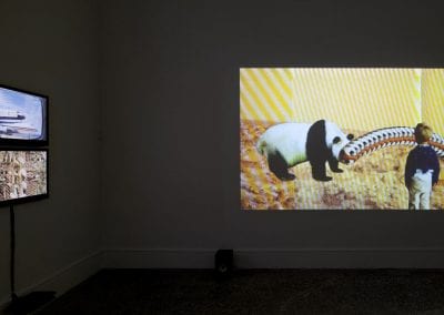 Dark gallery interior with two video works featuring animals