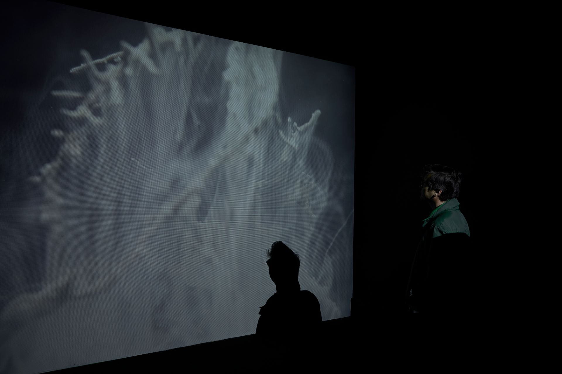 A person's silhouette is visible against a projected film screen. The screen shows ghostly towering abstract shapes in water.