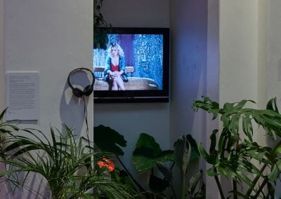 A TV sits inside a narrow booth space, surrounded by a lush assortment of houseplants.