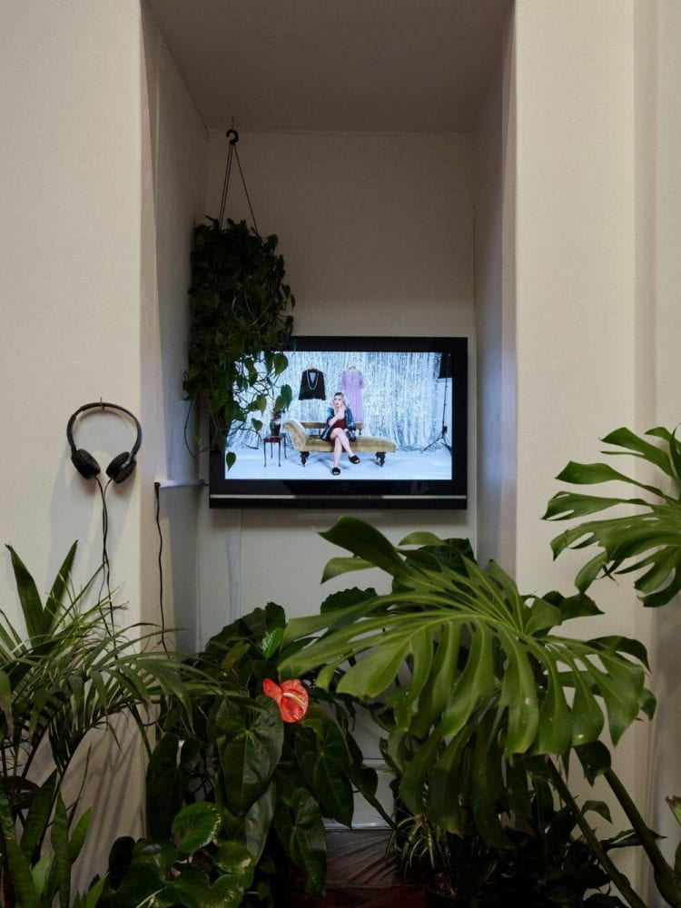 A TV sits inside a narrow booth space, surrounded by a lush assortment of houseplants.