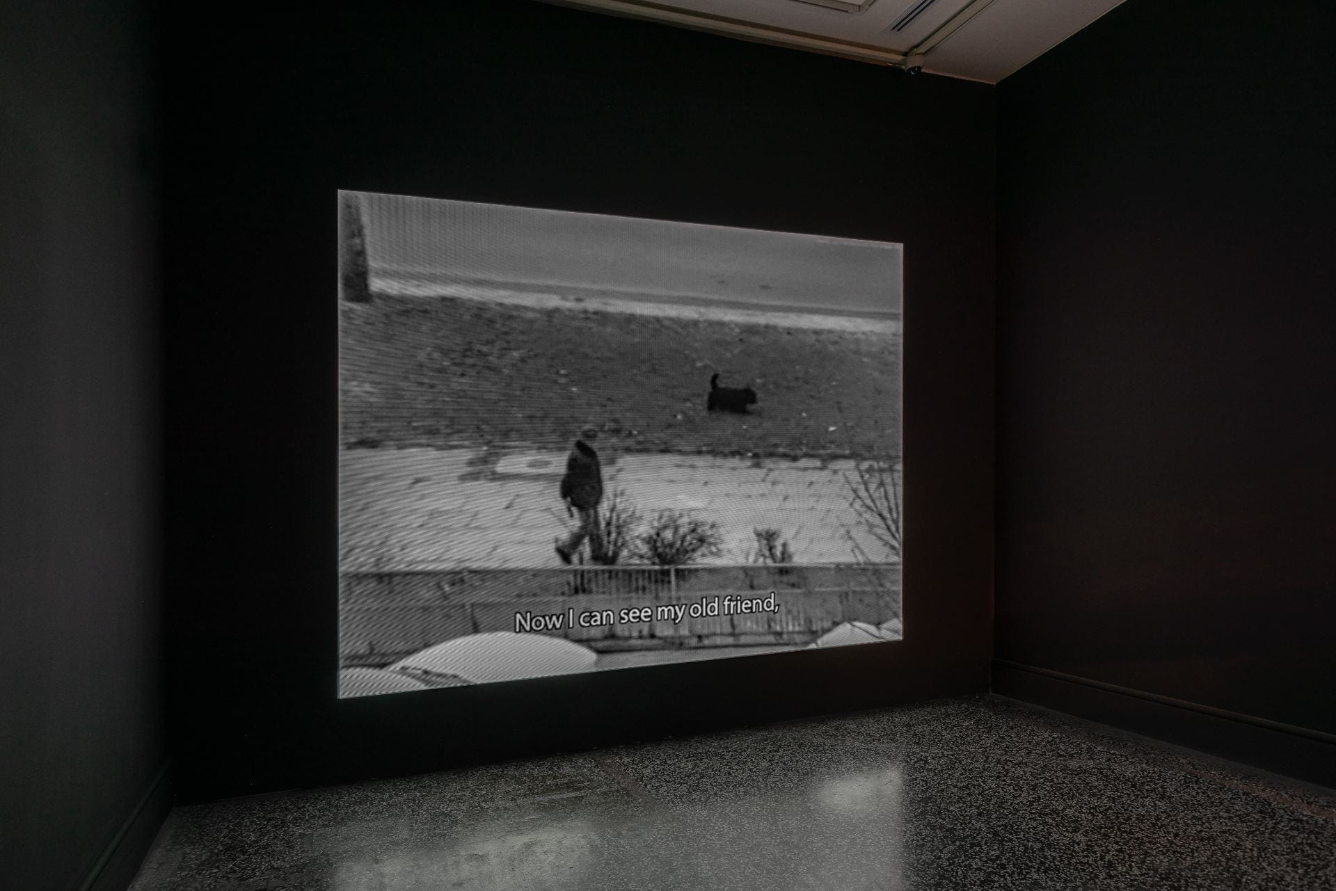 A dark room with a black and white film projected onto one wall. In the film a man walks with a little black dog. The film subtitles read "now I can see my old friend".