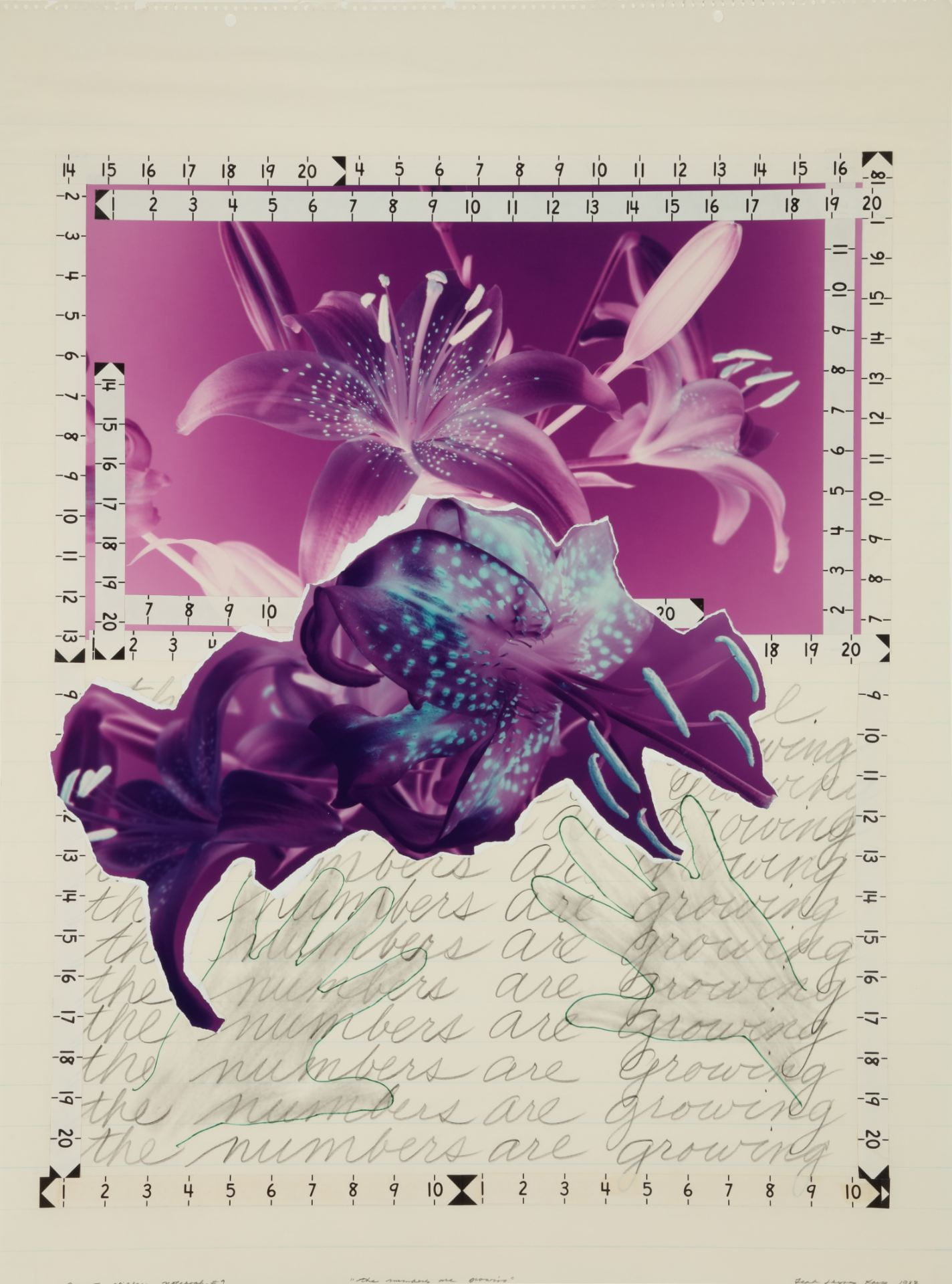 A collage of purple and blue flowers, numbers and measuring tape indents arranged on notepad paper. 'The numbers are growing' is handwritten in cursive multiple times across the lower third of the artwork.