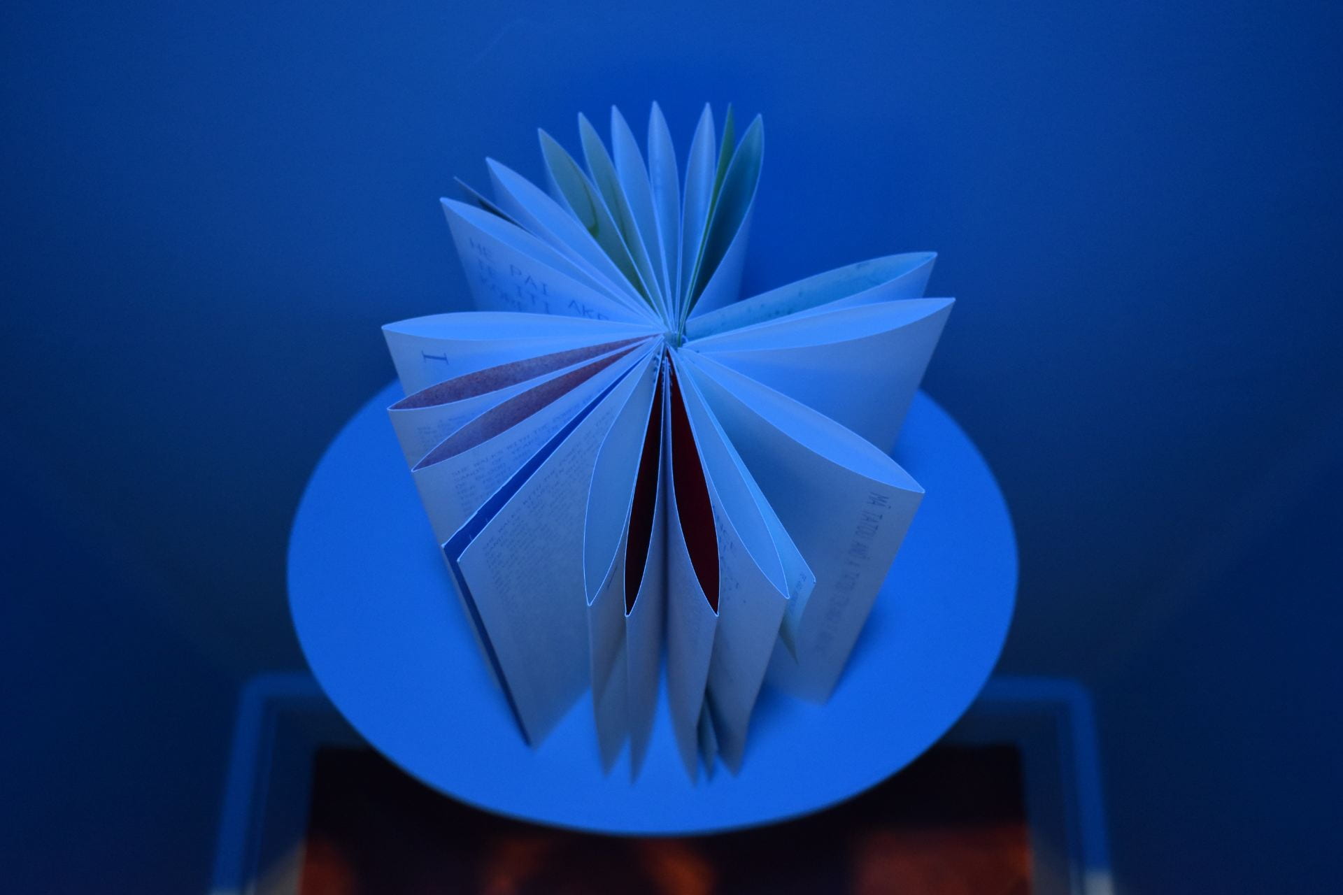 A book with spiral binding is arranged in a circular fashion on top of a round shelf. The book is bathed in blue light.