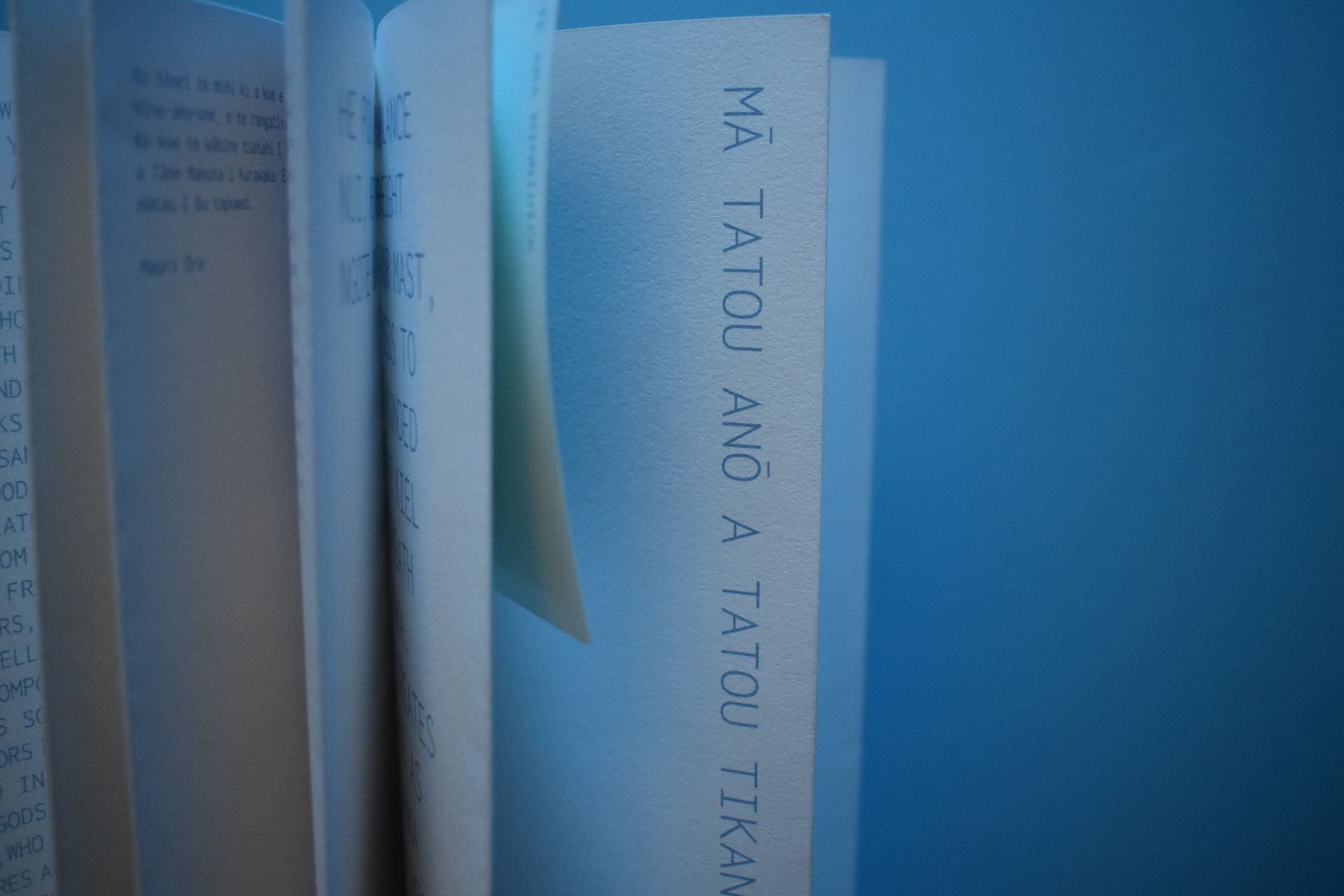 Close-up of text in a spiral-bound book.