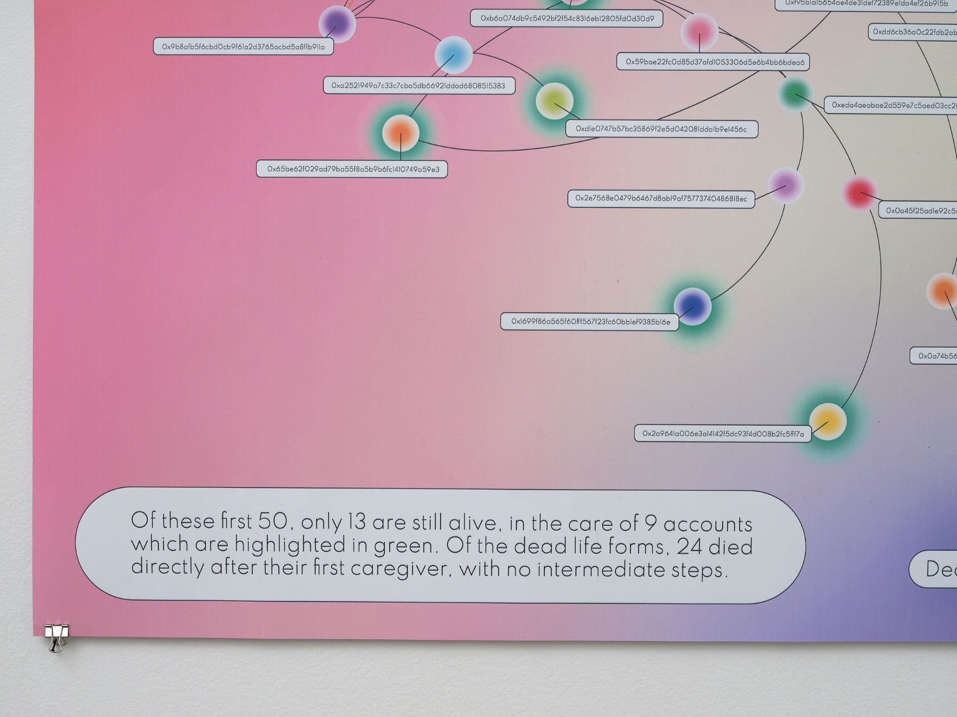 Close-up of a diagram describing the life-cycle of the artist's special version of NFTs, designed to be deleted within 3 months of ownership if not gifted/sold.